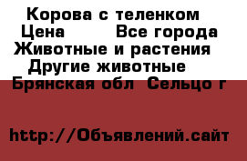 Корова с теленком › Цена ­ 69 - Все города Животные и растения » Другие животные   . Брянская обл.,Сельцо г.